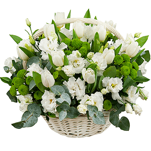 Snowdrops with delivery Tula