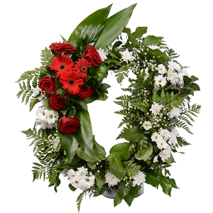 Red rose 50 cm - 10, Santini White Spray Chrysanthemum - 15, Gerbera red - 6, Gypsophila - 3, Funeral wreath frame, Ruscus, Salal, Fern (1 pc.), Aspidistra (1 pc.)