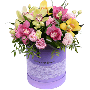 Arrangement of orchids in a hatbox with delivery Tula