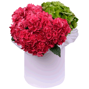 Strawberry souffle with delivery Tula