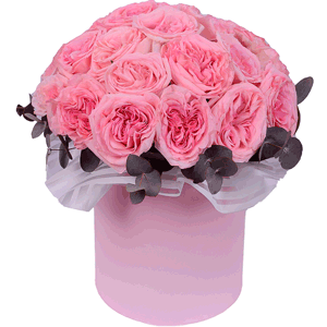 Peony style roses - 41, Eucalyptus Cinerea, Round flower box medium, Oasis, Film