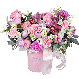 Princess&rsquo;s dream with delivery Tula