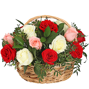 Inflorescence with delivery Tula
