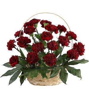 Carnation red - 38, Ruscus, Fatsia (1 pc.), Oasis, Large Basket