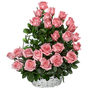 Pink rose 70 cm Ecuador  - 41, Ruscus, Oasis, Large Basket