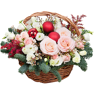 Frosted rose with delivery Tula