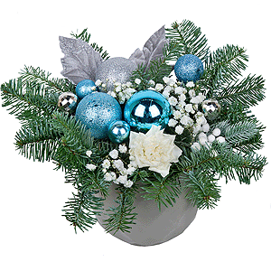 Magic Winter with delivery Tula