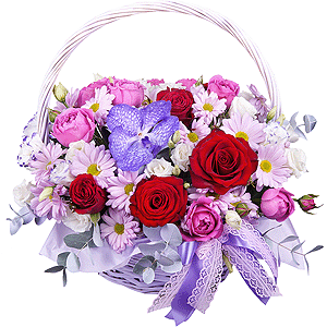 Our dreams with delivery Tula