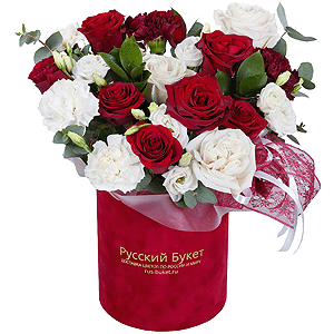 Passionate Romance with delivery Tula