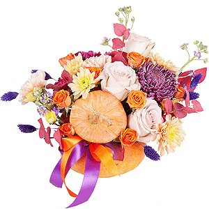 Pumpkin Absolute with delivery Tula