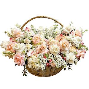 Splendor of love with delivery Tula