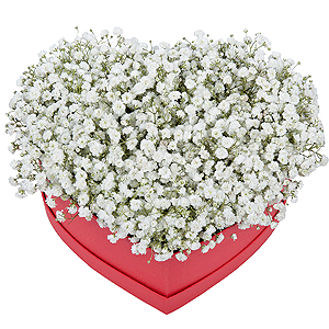 Композиция "От чистого сердца" с доставкой в Туле