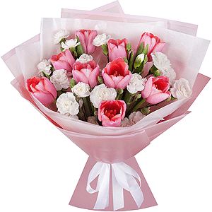 Pink tulip - 17, White spray carnation - 9, Wrapping Paper