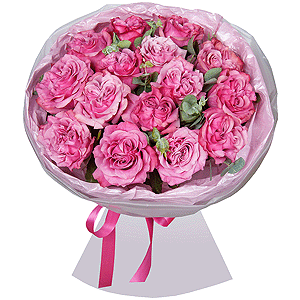 Pink rose Country Blues 50 cm - 23, Eucalyptus, Wrapping Paper