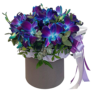 Orchid Dendrobium - 27, Flask for orchids, Pistachio, Eucalyptus, Oasis, Round flower box medium, Ribbon