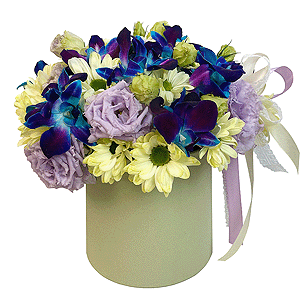 Firefly Meadow with delivery Tula
