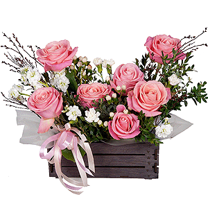 Enchanted Gift with delivery Tula