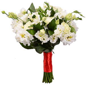 White rose 50 cm - 13, Freesia - 21, lisianthus - 7, Ruscus, Ribbon
