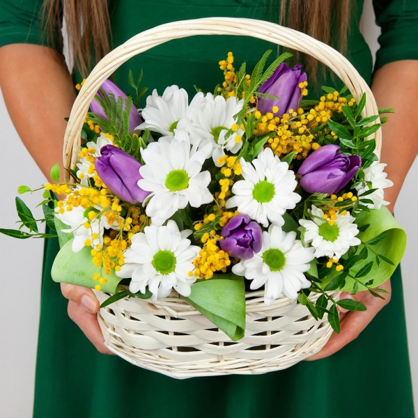 Lilac tulip - 9, Bacardi White Spray Chrysanthemum - 2, Mimosa - 3, Small Basket, Oasis, Pistachio