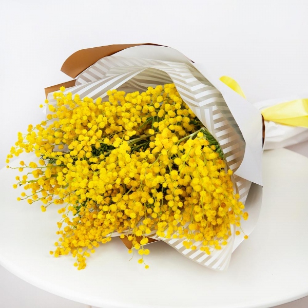 Mimosa - 6, Wrapping Paper, Ribbon