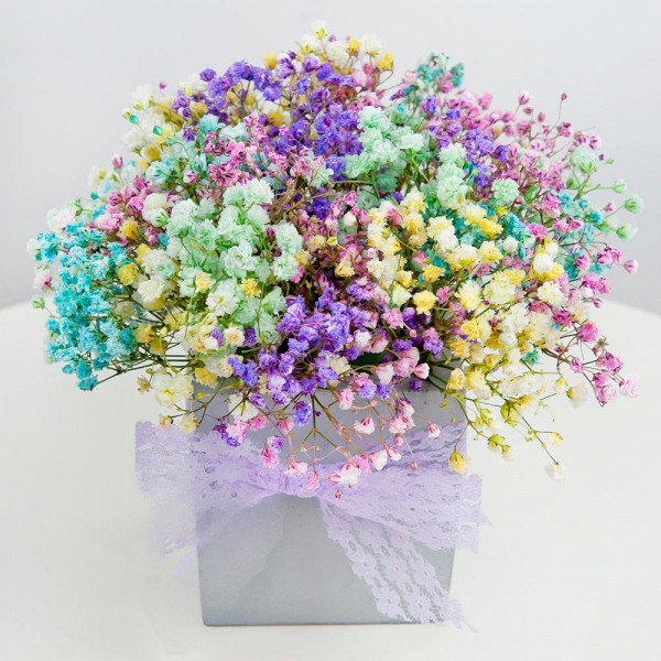 Colored gypsophila - 7, Oasis, Ceramic pot, Film, Ribbon