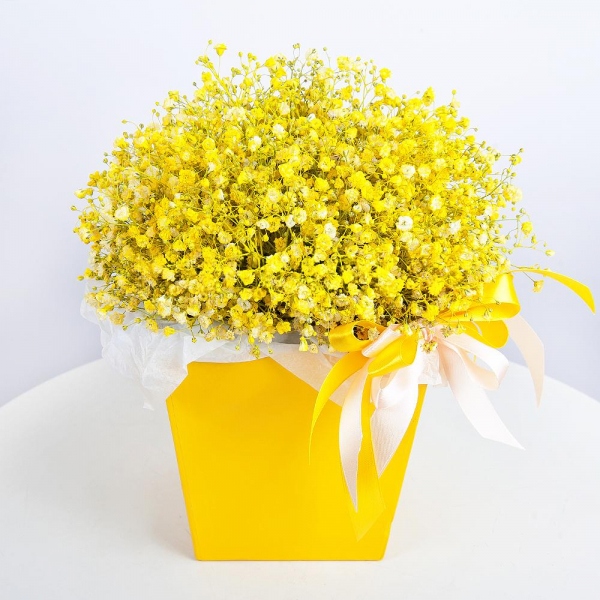 Colored gypsophila - 11, Composition Box, Oasis, Ribbon