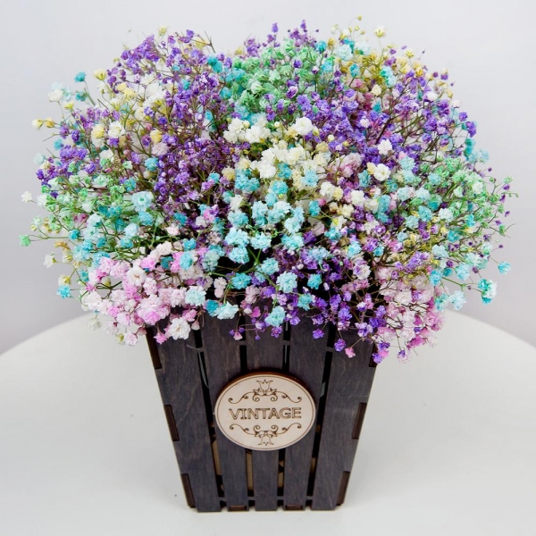 Colored gypsophila - 11, Oasis, Film, Wooden pot