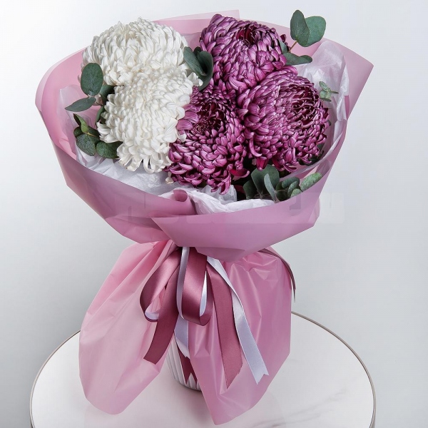 Chrysanthemum Bigoudi purple - 9, Eucalyptus, Wrapping Paper
