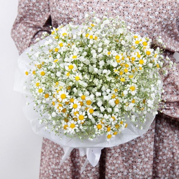 Gypsophila - 8, Chamomile - 7, Ribbon, Wrapping Paper