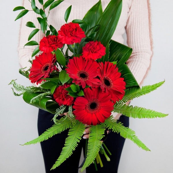 Carnation red - 8, Gerbera red - 7, Ambrella, Ruscus italian, Ruscus, Aspidistra (1 pc.), Ribbon