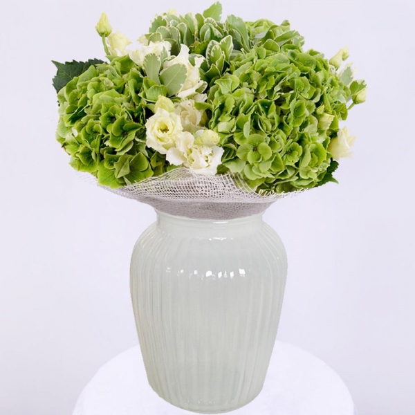 Green Hydrangea - 5, lisianthus - 7, Pittosporum, Jute 1 meter, Ribbon
