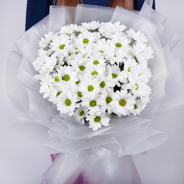 Bacardi White Spray Chrysanthemum - 15, Wrapping Paper, Ribbon