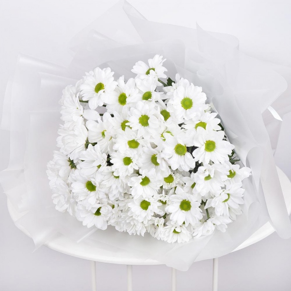 Bacardi White Spray Chrysanthemum - 15, Wrapping Paper, Ribbon