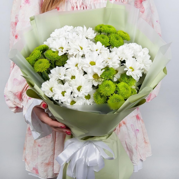 Bacardi White Spray Chrysanthemum - 5, Athos pom Feeling Green - 4, Wrapping Paper